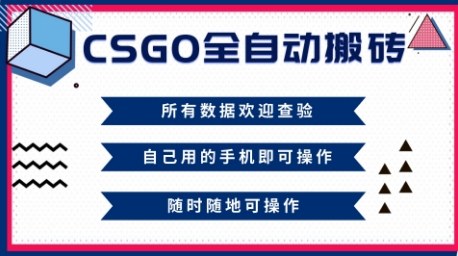 CSGO全自动搬砖,年底钱回家好项目,当天可拿到结果,新手小白轻松月入1W+【揭秘】-资源站