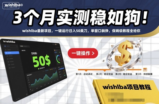 3个月实测稳如狗！wishlba最新项目，一键运行日入50美刀，单窗口躺挣，保姆级教程全给你【揭秘】-资源站
