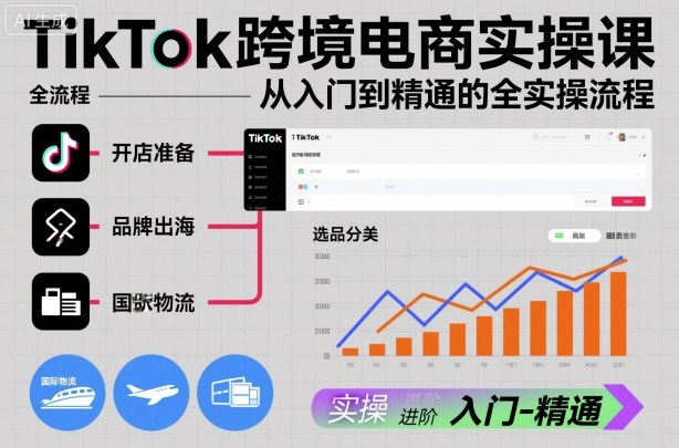 TikTok跨境电商实操课，从入门到精通的全实操流程-资源站