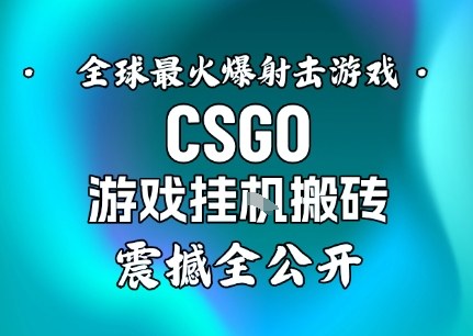 【年底大揭秘】基于全球最火爆的射击CSGO游戏挂G搬砖,日入5张+,震撼公开-资源站