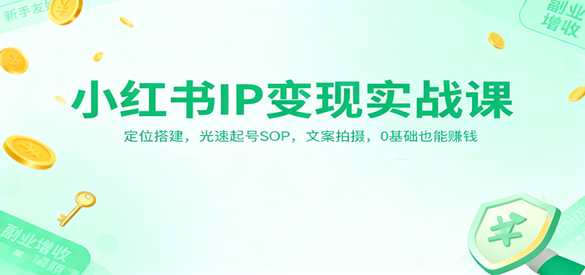 小红书IP变现实战课：定位搭建，光速起号SOP，文案拍摄，0基础也能赚钱-资源站