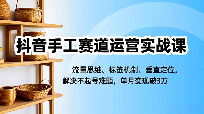 抖音手工赛道运营实战课,流量思维、标签机制、垂直定位,解决不起号难题,单月变现破3万-资源站