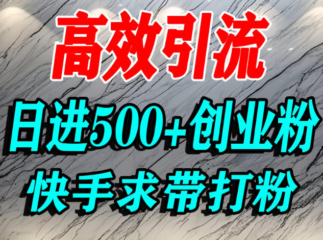 怎么打创业粉?快手求带视角精准引流创业粉,宝妈、学生群体日进500+精准流量-资源站