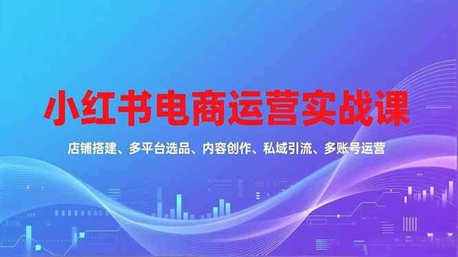 小红书电商运营实战课，店铺搭建、多平台选品、内容创作、私域引流、多账号运营等玩法-资源站