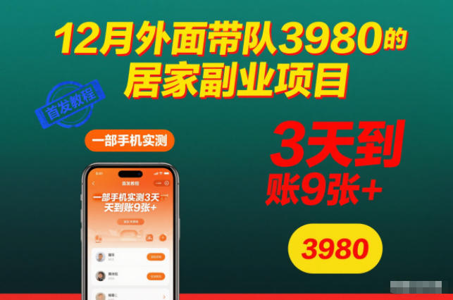12月外面带队3980的居家副业项目，一部手机实测3天到账9张+，首发教程【揭秘】-资源站