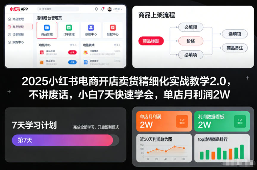 2025小红书电商开店卖货精细化实战教学2.0,不讲废话,小白7天快速学会,单店月利润2W-资源站