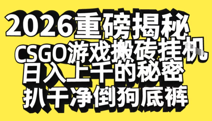 2026开年重磅解密，CSGO游戏搬砖挂G日入1k+的秘密，把倒狗的底裤扒干【揭秘】-资源站