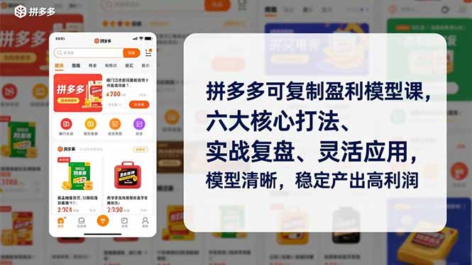 拼多多可复制盈利模型课，六大核心打法、实战复盘、灵活应用，模型清晰，稳定产出高利润-资源站