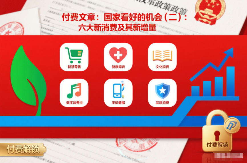 付费文章：国家看好的机会(二)：六大新消费及其新增量-资源站