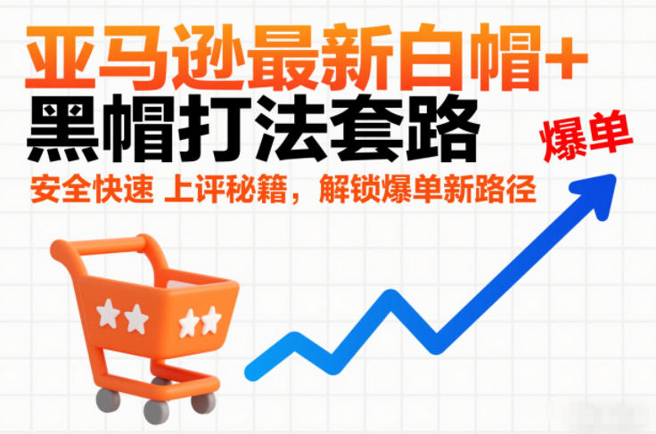 亚马逊最新白帽+黑帽打法套路，安全快速上评秘籍，解锁爆单新路径-资源站