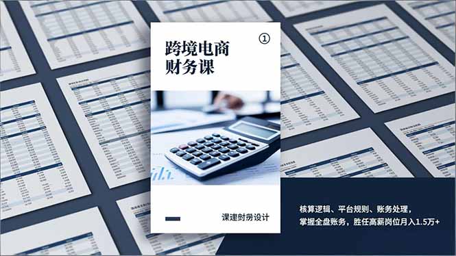 跨境电商财务课，核算逻辑、平台规则、账务处理，掌握全盘账务，胜任高薪岗位月入1.5万+-资源站