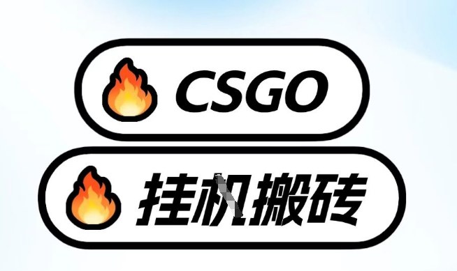 真全网独家CSGO挂G，最新玩法,单日捡漏1K+，不用电脑，不用打游戏【揭秘】-资源站