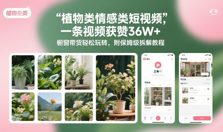 植物类情感类短视频，一条视频获赞36W+，橱窗带货轻松玩转，附保姆级拆解教程-资源站