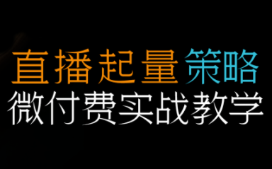 半野老师·直播带货起量与微付费必学课视频号(更新2026)-资源站