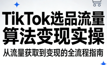 TikTok选品流量算法变现实操-资源站