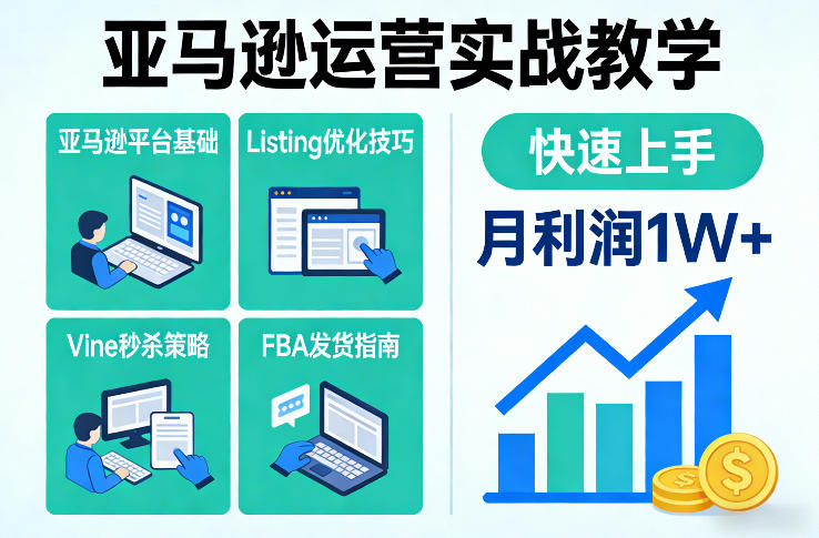 亚马逊运营实战教学，亚马逊平台+Listing优化+Vine秒杀+FBA发货等，快速上手，实现店铺月利润1W-资源站
