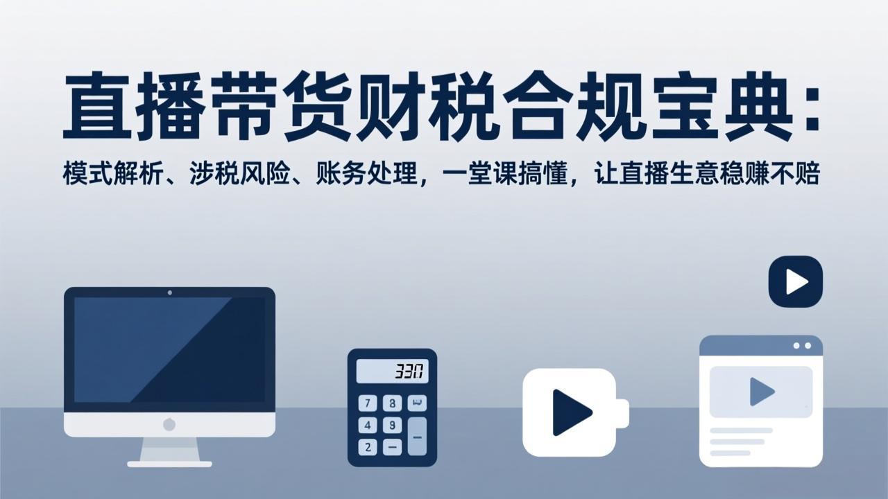 直播带货财税合规宝典：模式解析、涉税风险、账务处理，一堂课搞懂，让直播生意稳赚不赔-资源站