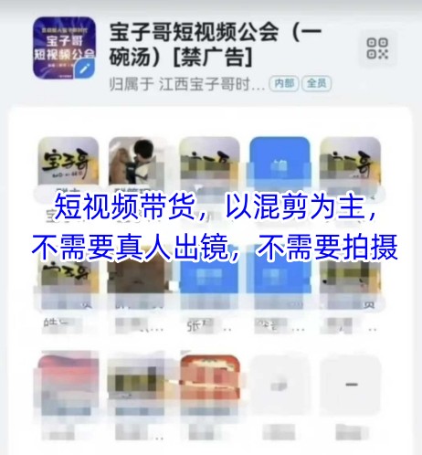 宝子哥头部团队短视频带货,以混剪为主,不需要真人出镜,不需要拍摄【更新26年3月】-资源站