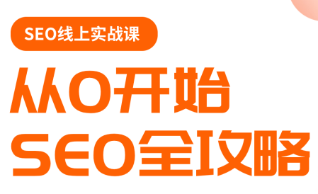 若凡老师·谷歌SEO实操课(更新)-资源站