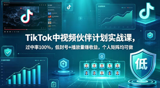 TikTok中视频伙伴计划实战课，过中率100%，低封号+播放量賺收益，个人矩阵均可做-资源站