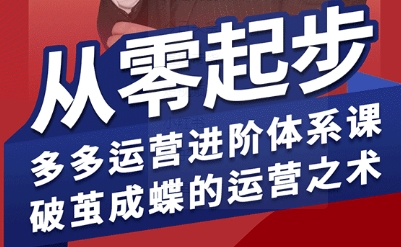 拼多多运营进阶系统课，从零起步，多多运营进阶体系课，破茧成蝶的运营之术(更新26年4月)-资源站