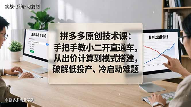 拼多多原创技术课：手把手教小二开直通车，从出价计算到模式搭建，破解低投产、冷启动难题-资源站
