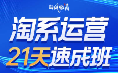 白凤电商·淘系运营21天速成班(更新4月)-资源站