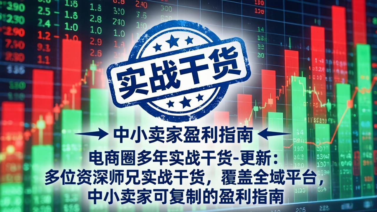 电商圈多年实战干货-更新5月10：多位资深师兄实战干货/覆盖全域平台，中小卖家可复制的盈利指南-资源站