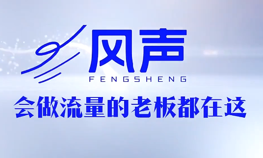 董十一·风声短视频AI获客年度会员-资源站