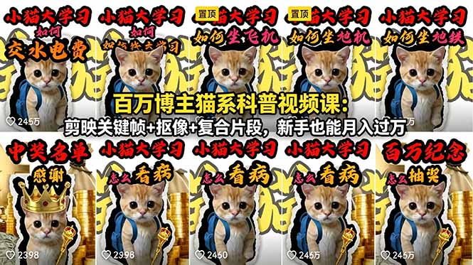 百万博主猫系科普视频课：剪映关键帧+抠像+复合片段，新手也能月入过万-资源站