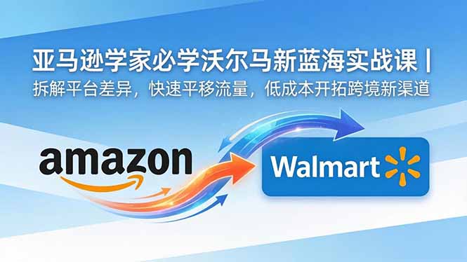 亚马逊卖家必学沃尔玛新蓝海实战课｜拆解平台差异，快速平移流量，低成本开拓跨境新渠道-资源站