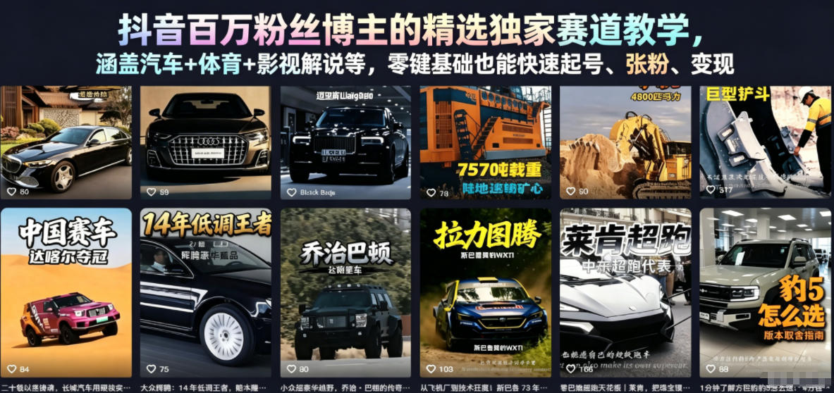 抖音百万粉丝博主的精选独家赛道教学，涵盖汽车+体育+影视解说等，零基础也能快速起号、涨粉、变现-资源站