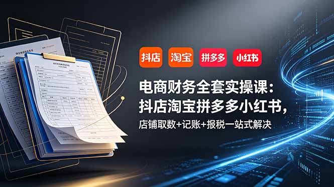 电商财务全套实操课：抖店淘宝拼多多小红书，店铺取数+记账+报税一站式解决-资源站