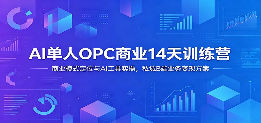 AI单人OPC商业14天训练营：商业模式定位与AI工具实操，私域B端业务变现方案-资源站