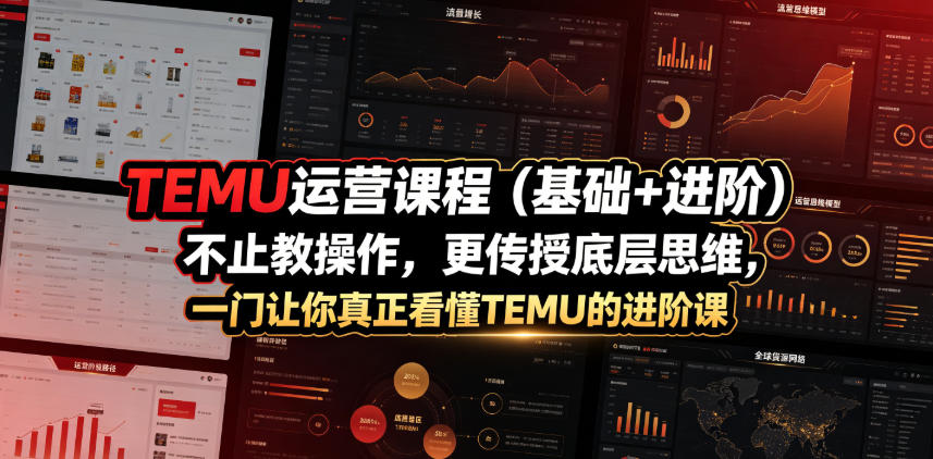 TEMU运营课程(基础+进阶)，不止教操作，更传授底层思维，一门让你真正看懂TEMU的进阶课-资源站