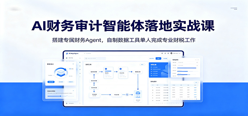AI财务审计智能体落地实战课：搭建专属财务Agent，自制数据工具单人完成专业财税工作-资源站